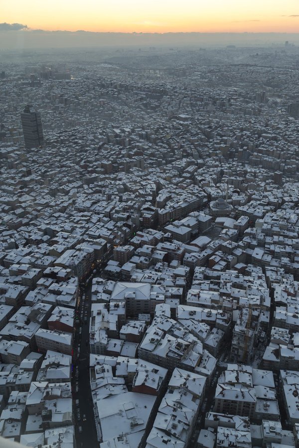 Comment accueillir des animaux exotiques en milieu urbain